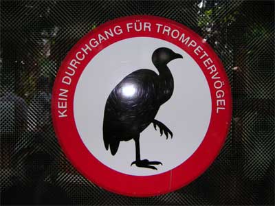Kein Durchgang für Trompetervögel